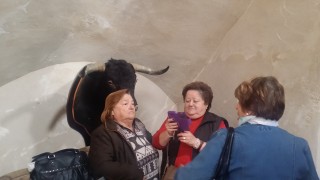 Visita Plaza de Toros de Almendralejo