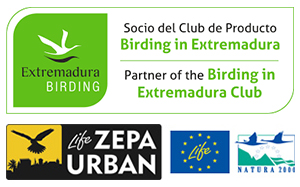 Socio del Club de Producto Birding in Extremadura