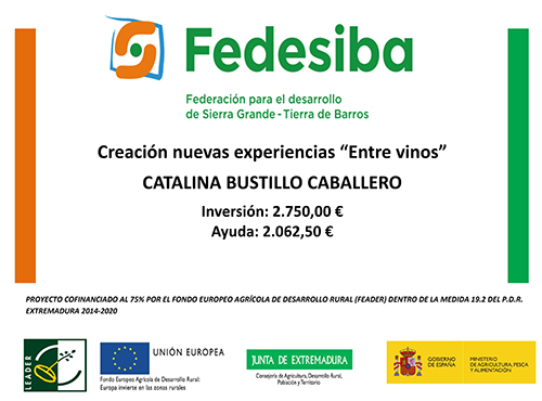 Fedesiba Creación de la nueva experiencia entre vinos